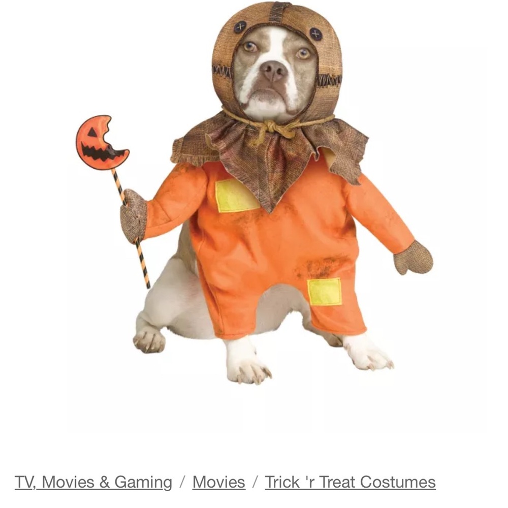 Sam, Trick R Treat Dog Costume